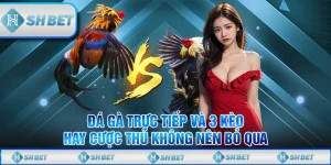đá gà trực tiếp