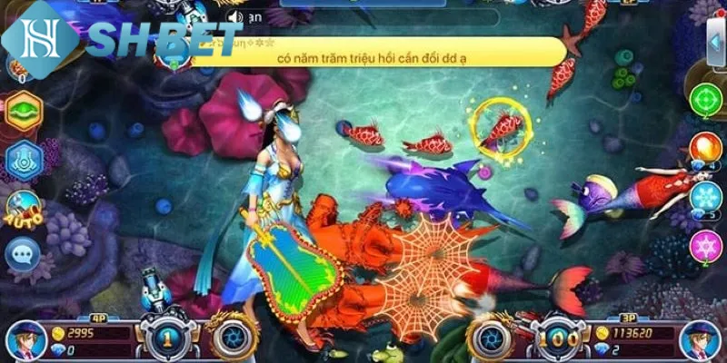 Các loài cá có giá trị cao nhất trong trò chơi