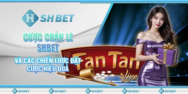 Cược Chẵn Lẻ SHBET Và Các Chiến Lược Đặt Cược Hiệu Quả