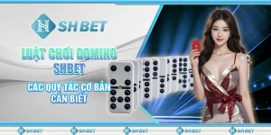 Luật Chơi Domino SHBET - Các Quy Tắc Cơ Bản Cần Biết