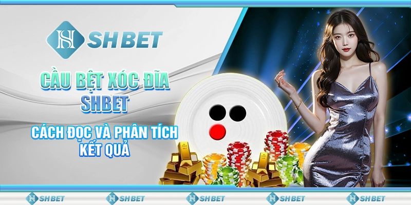 Cầu Bệt Xóc Đĩa SHBET - Cách Đọc Và Phân Tích Kết Quả
