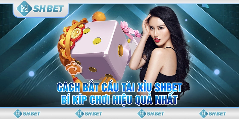 Cách Bắt Cầu Tài Xỉu