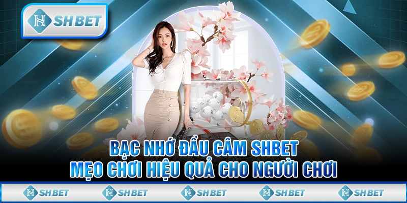 Cách Đọc Kèo Bóng Đá SHBET – Tăng Cơ Hội Thắng Lớn
