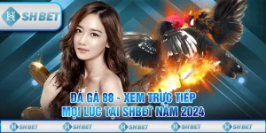 Đá gà 88