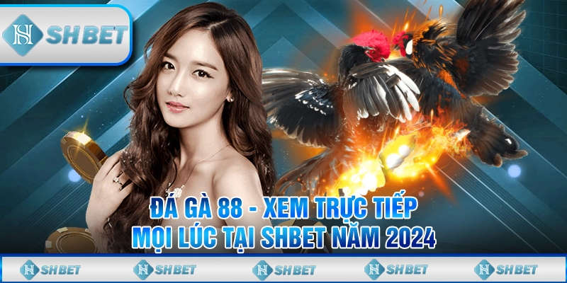 Đá gà 88