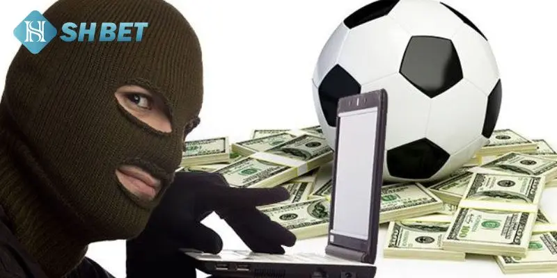Bí mật khi cá cược để thắng
