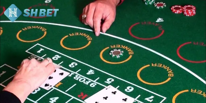 Lý do nên cá cược Baccarat
