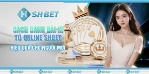 Cách Đánh Bài Xì Tố Online SHBET Hiệu Quả Cho Người Mới