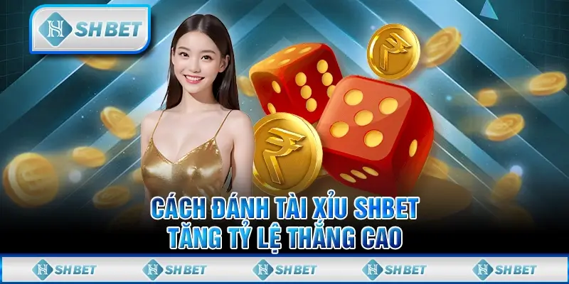 Cách Đánh Tài Xỉu SHBET - Tăng Tỷ Lệ Thắng Cao
