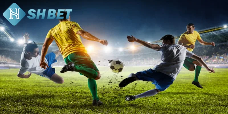 Cược thể thao SHBET đã và đang trở thành một lựa chọn phổ biến