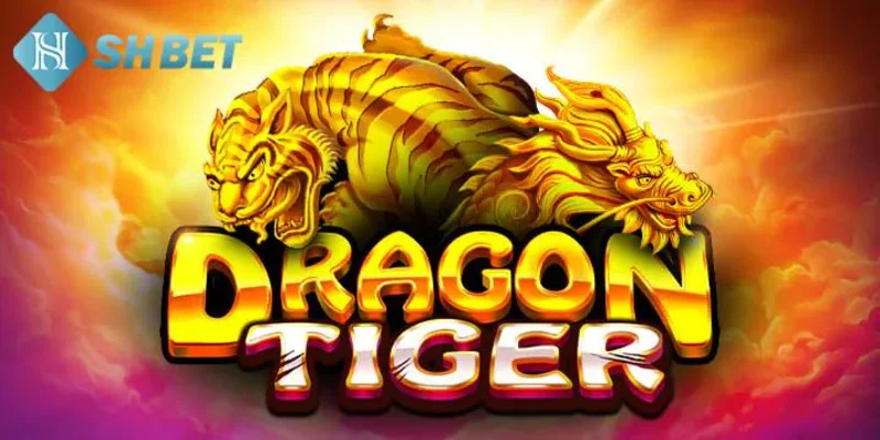 nắm vững quy tắc và áp dụng chiến thuật hợp lý