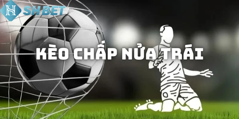 Chiến thuật cá cược hay và hữu ích khi chơi