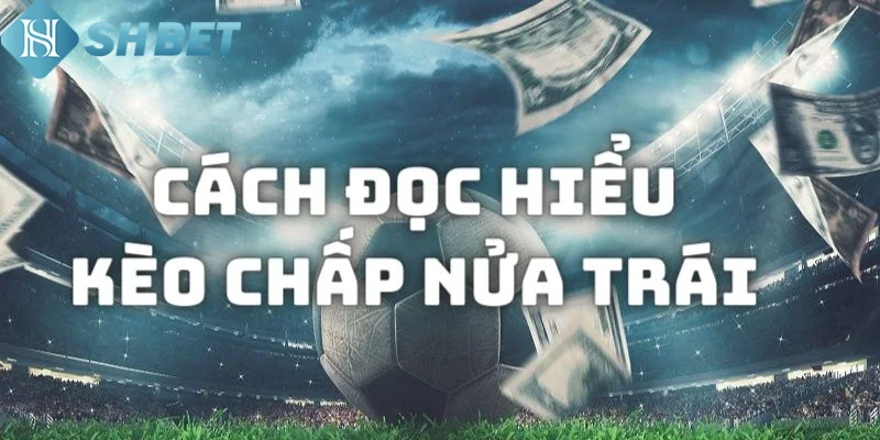 Ảnh hưởng từ nhiều yếu tố khác nhau