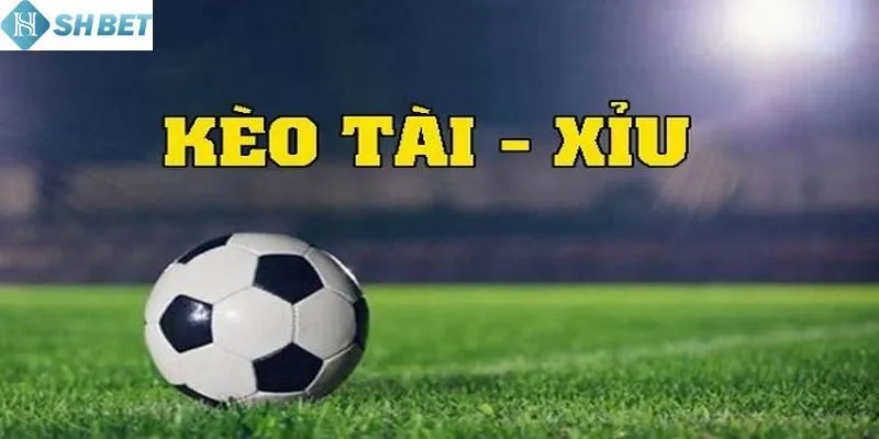 Việc chơi kèo tài xỉu vẫn có những yếu tố cần chú ý