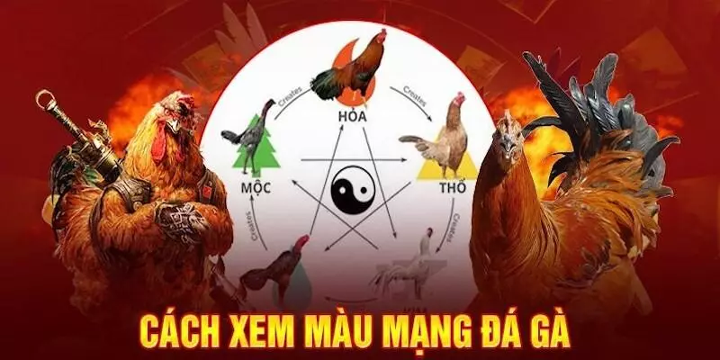 Màu mạng đá gà được hiểu là như thế nào?