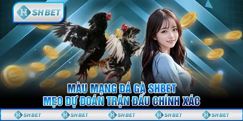 Màu Mạng Đá Gà SHBET– Mẹo Dự Đoán Trận Đấu Chính Xác