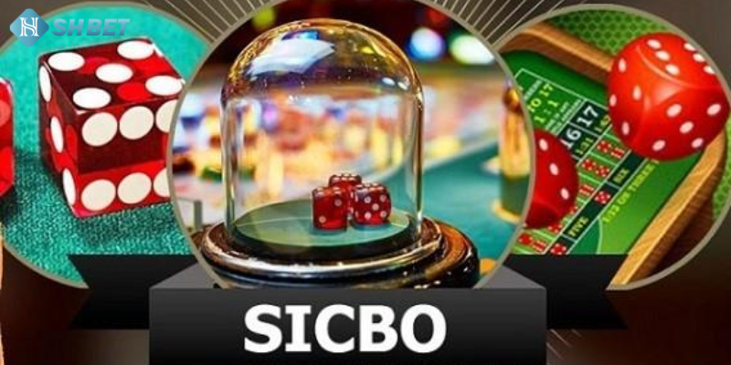 Nhà cái cung cấp trải nghiệm chơi game trực tuyến mượt mà