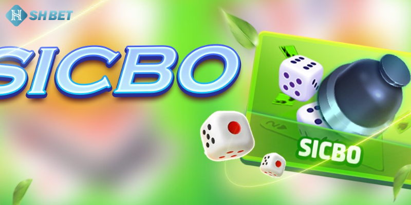 Người tham gia thực hiện việc đặt cược vào Sicbo