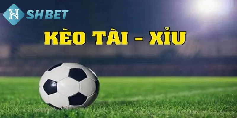 3 Loại cược tài xỉu trong bóng đá