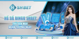 Xổ Số Bingo SHBET – Thử Vận May, Nhận Thưởng Ngay