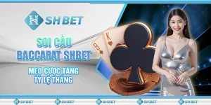 Soi Cầu Baccarat SHBET - Mẹo Cược Tăng Tỷ Lệ Thắng