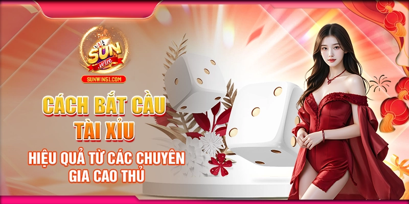 cach-bat-cau-tai-xiu-hieu-qua-tu-cac-chuyen-gia-cao-thu