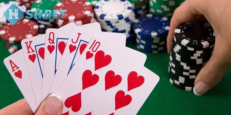 Bài xập xám hiểu theo nghĩa là gì?