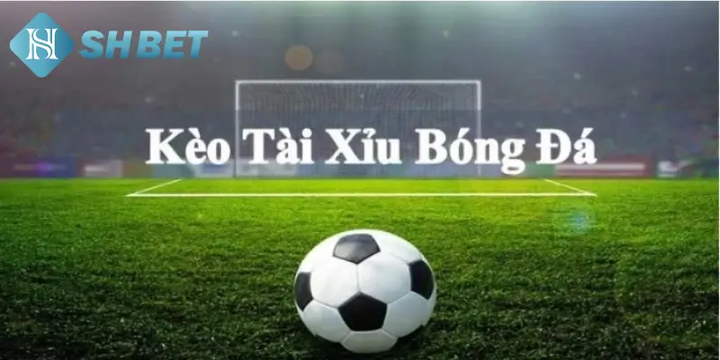 Chiến thuật giúp anh em soi kèo tài xỉu