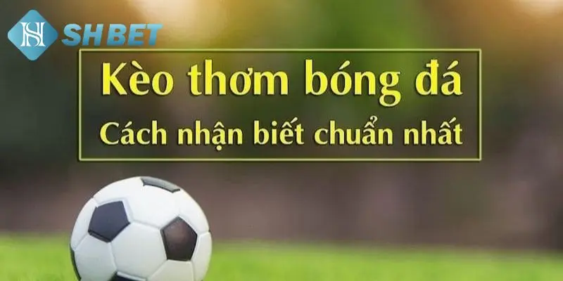 Chú ý siêu quan trọng để bắt đầu cược