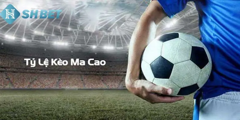 Tổng hợp các loại kèo trong cược Macao