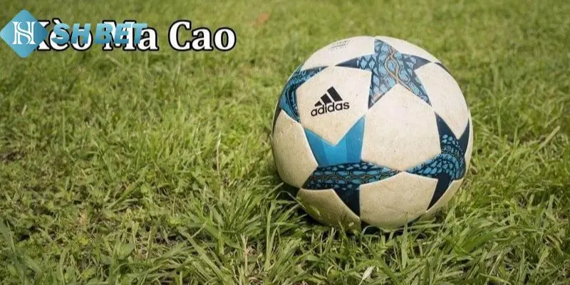 Ưu điểm của tỷ lệ kèo macao