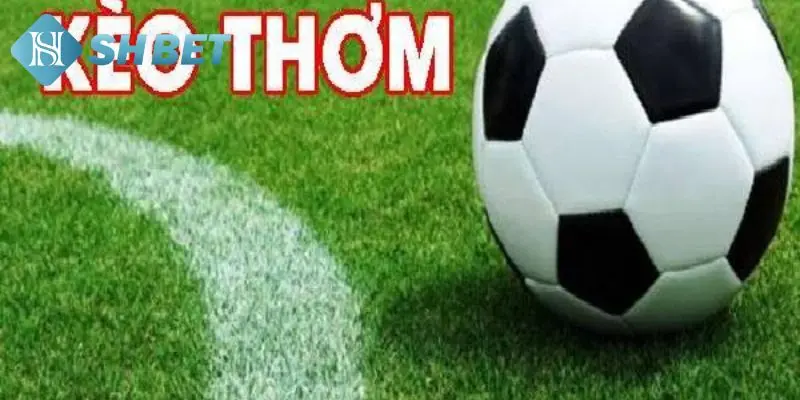 Khám phá chi tiết về kèo thơm