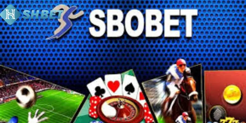 Quy trình đặt cược tại Sbobet