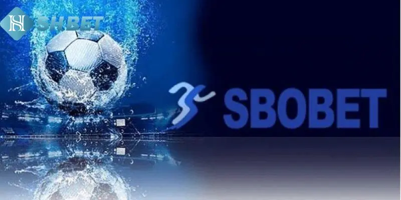 Tìm hiểu thêm về sảnh Sbobet Sport
